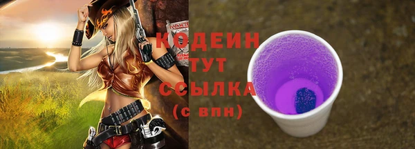 дживик Богородицк