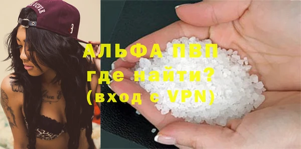ECSTASY Богданович