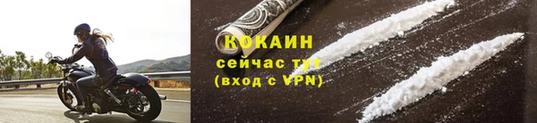 дживик Богородицк