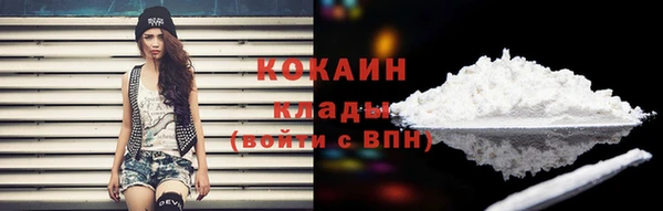ECSTASY Богданович