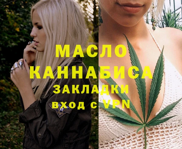 дживик Богородицк