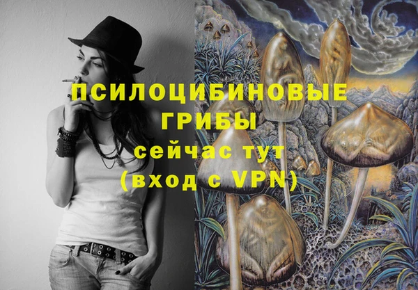 ECSTASY Богданович