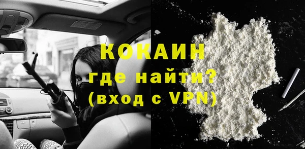 дживик Богородицк