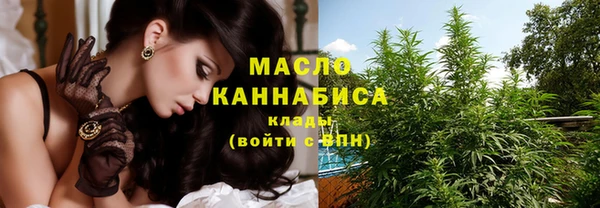дживик Богородицк