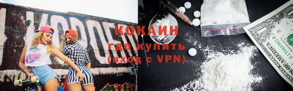ECSTASY Богданович