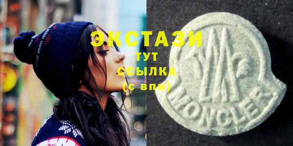 дживик Богородицк