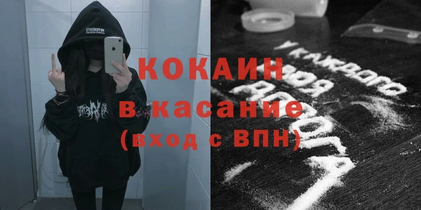 дживик Богородицк