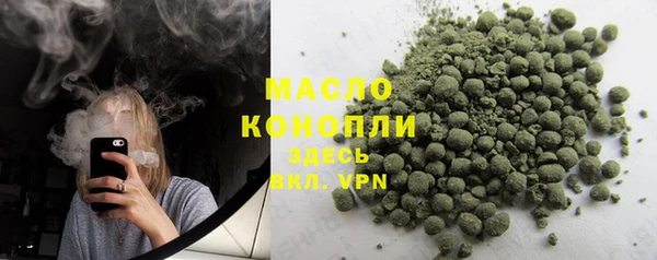 ECSTASY Богданович