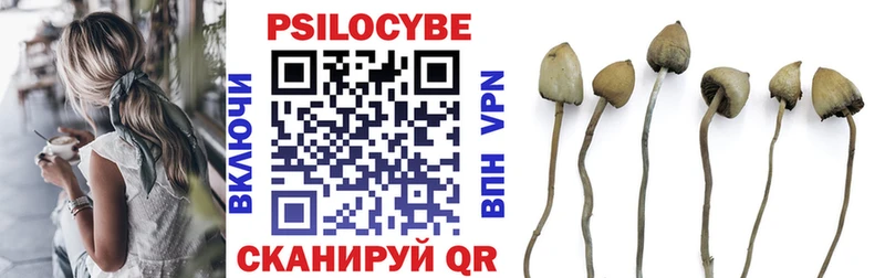 kraken зеркало  Константиновск  Псилоцибиновые грибы Psilocybe 